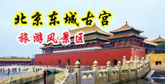 骚b女生扣b淫叫啪啪网站中国北京-东城古宫旅游风景区